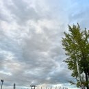 합천야구장 2구장 | 임산부 막달 일기 롯데 자이언츠 2구장 울산 문수 야구장 방문후기 부산시 수영구 혼인신고 혜택