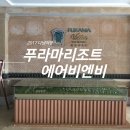 리모인코리아 | 다낭 푸라마 풀빌라, 에어비앤비 예약_ 장점 단점, 가격,