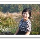 호암체육관 이미지