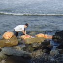 입춘허브 이미지