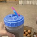 순천한증막 이미지