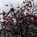 대구여자상업고등학교 이미지