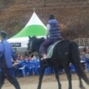 미스터콩 이미지