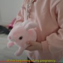 지지 이미지