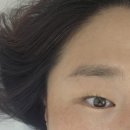 스타벅스시흥대야동점 | 대야동속눈썹 은행동속눈썹 시흥속눈썹 &lt;문비&gt;