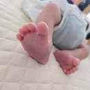 가온누리 산후도우미 - 청주시 흥덕구 | 계룡 가온누리 산후도우미 후기 진짜 대박 천사 이모님 만남 (대전, 세종 이용가능 업체) + 아기를 부탁해