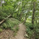 완주 편백숲 관광안내소 이미지