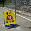 세븐일레븐 웅촌검단점 | 여름이 왔어요! 울주 웅촌 길가에서 만난 가마솥 옥수수