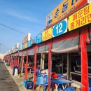 산해 | 주문진 소돌항 맛집 산해횟집 대게 모듬회세트 내돈내산 후기