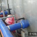 한국이엘에스