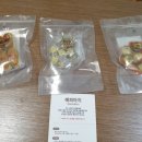해피아지 네이버블로그