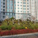 세종 아파트 버스정류장 이미지