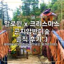 숲속반디 | 곤지암리조트 근처 아이와 가볼만한 곳, 곤지암반디숲 솔직 후기:)