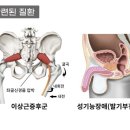 홍익한의원 - 강서구 가로공원로76길 55 | 홍익한의원