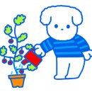 울알라애견미용
