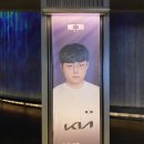 젠디플러스 이미지