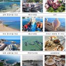 남애어촌체험휴양마을 이미지