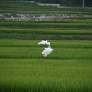 문항마을
