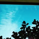 양양늘솔길 이미지