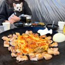 [대전 애견동반 식당] 반려견과 김치 솥뚜껑 삼겹살 먹을 수 있는 대전 동강