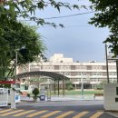 아주초교병설유치원 이미지