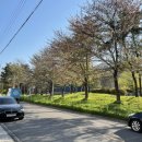 꽃집초이 이미지