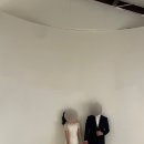 하얀섬 | [스튜디오] 섬스튜디오 촬영 후기 - 하얀 벽(2)