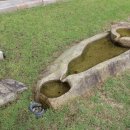 산청 사랑채 펜션 이미지