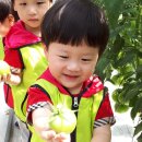 월포농장 이미지