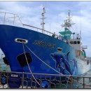 바다와고래 이미지