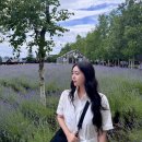 로이팜 | [삿포로/2일차] 네스트호텔 조식 흰그림자투어 비에이 준페이 스스키노 라멘맛집