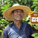 태양농장 이미지