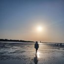 *협재, 금능, 해수욕장* 이미지