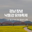 축제의 물결 이미지