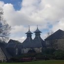 구독살롱 이미지