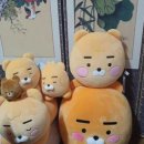 명신보이