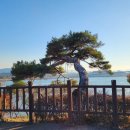 해오름육교 이미지