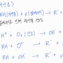 연쇄반응과 화학적소화를 반응식으로 설명하는 문제 이미지