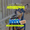 서현중앙길 이미지