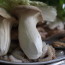 소래버섯나라 이미지