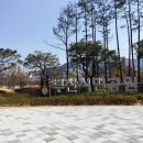 부산시민공원 이미지