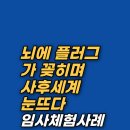 신도데이타시스템 | 2주를 굶고 육체를 이탈한 무술가, 37년간 삶을 바꾼 기적 같은 임사체험(NDE) 후기