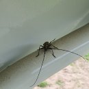 헌식농장 이미지