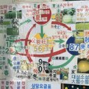 88 | 서울천경철학관(건대입구작명소 광진구철학관 구의동철학관 구의역철학관 건대입구사주)