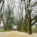 남이섬 봄펜션 이미지