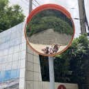 나리촌식당 이미지