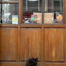 참좋은 | [여행] 터키터키2 / 참좋은 여행사 터키 패키지 후기(꿀팁)