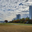 거창-주상-9 이미지