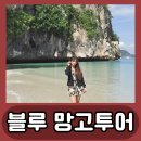 블루망고투어 이미지