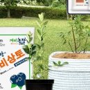 법인깨비농장 이미지